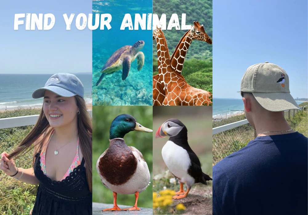 Wear Change, Protect the Wild